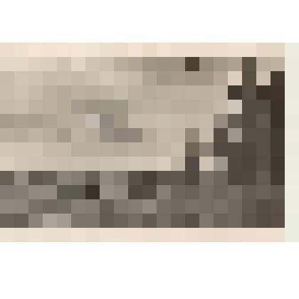 Фотография: озеро по улице Лермонтова в г.Камень-на-Оби Алтайского края