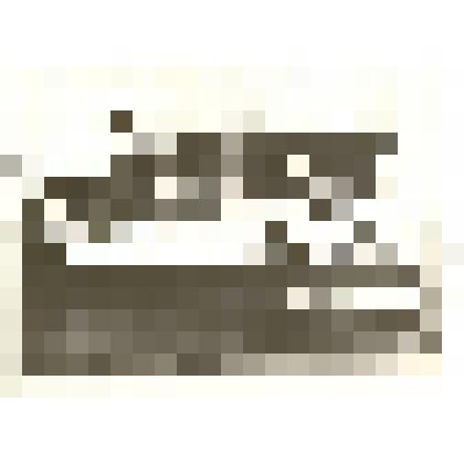 Фотография: пароход "Владимиръ" на пристани села Камень Барнаульского уезда Томской губернии. Копия