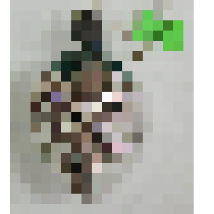 Елочное украшение, виноград белый