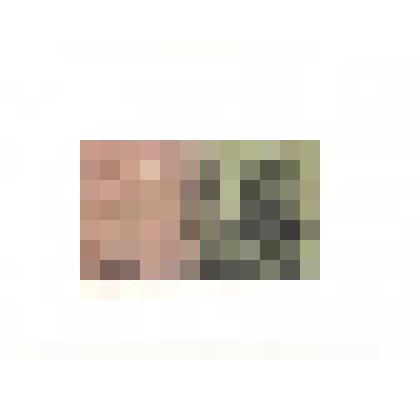 Государственный кредитный билет Двадцать пять рублей