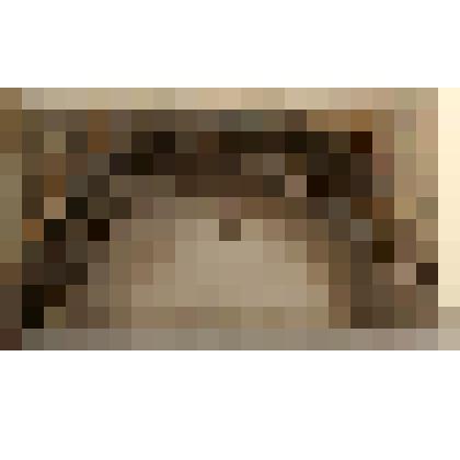 Арка царских врат