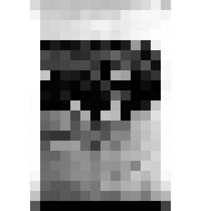 Негативы. Фотонегатив. На Тун пайраме национальная борьба - "Курес"