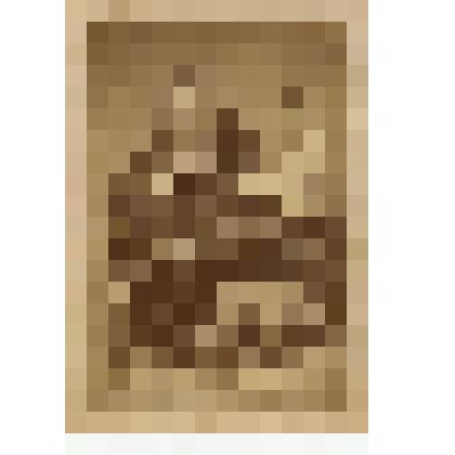 Фотография на паспарту. Алексей Петрович Оленин с сыновьями Александром и Петром