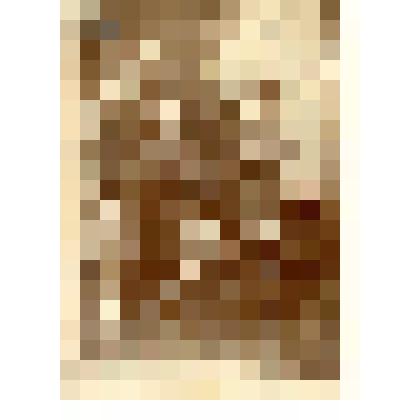 Фотография. Эдуард Толль с участниками Русской Полярной экспедиции (со слов Валя М.И.)