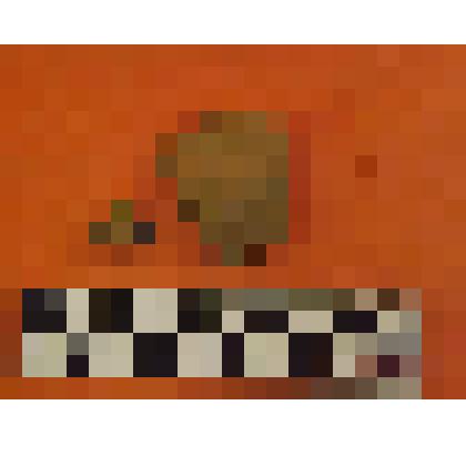 фрагмент гладкостенной керамики