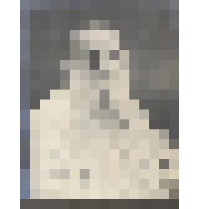 Л.Н.Толстой (по пояс, почти фас, в белой блузе, улыбается)