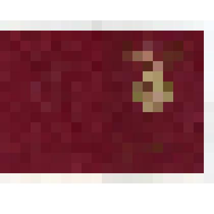 Паспорт заграничный (СССР) Шеметова Г.В. "от 05.12.1991г