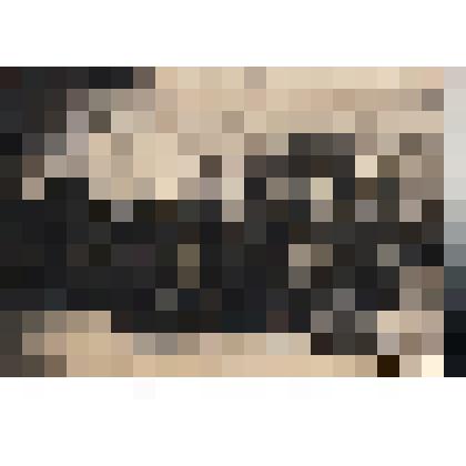 Ф/чб/к. Групповой портрет работников кооперации г. Марксштадт. АССРНП. 1927-1928