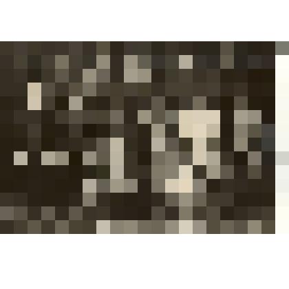 Фотография: курсы лесоводов и садоводов Каменского района