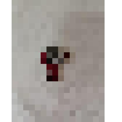 Значок Ленин в банте