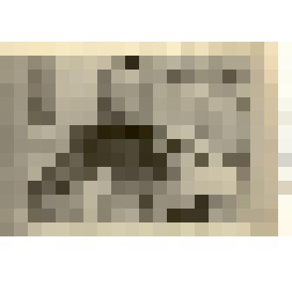 Фотография: передовик сельского хозяйства Каменского района Алтайского края (личность не указана)