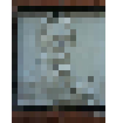 Портрет А.Венецианова