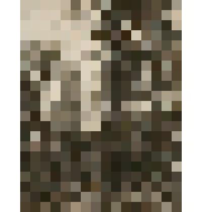 Гравюра. "Зорька" (Весна)