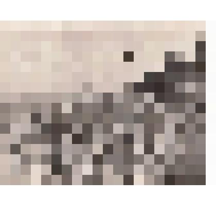 Фото/чб. Энгельсская опытно-мелиоративная станция (ВОЛЖНИИГИМ). Уборка урожая подсолнечника комбайном. 1960-1970-е