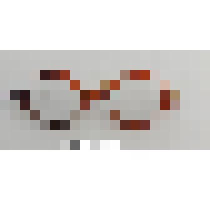 Очки Прохорова Н.Г. -педагога, краеведа