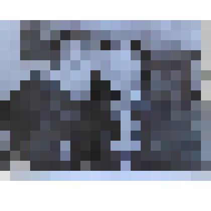 Фотография сюжетная. Награждение медалью "200 лет МВД"