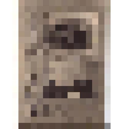 Фотография. Супруги Юрасовы в день золотой свадьбы