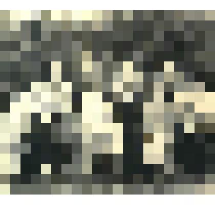 Фото. Встреча воспитанников детского дома с семьями, с.Темясово, 20 июня 1962 г