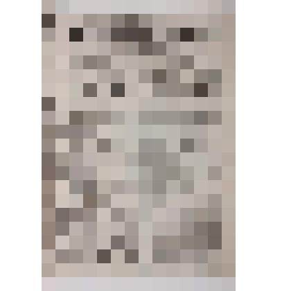 Газета «Сарапульский листок объявлений» №51 за  25.10.1901 г