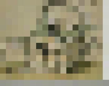 Автолитография [Крыльцо храма]