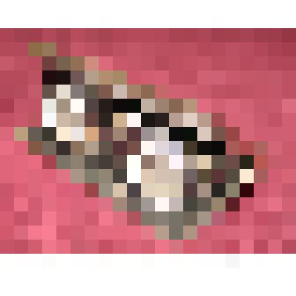 Бинокль портативный, театральный