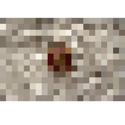 Значок круглый: на красном фоне золотое с белым изображение Ленина