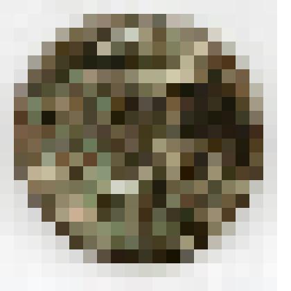 Монета. Российская империя