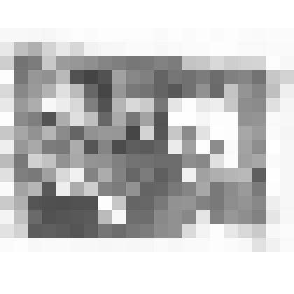 Фотография чёрно-белая. Коллектив конторы Комсомольского ЛПХ. Празднование Международного женского дня 8 Марта