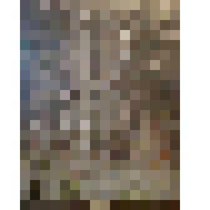 Картина. Лесная глушь