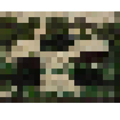 На весенней поляне