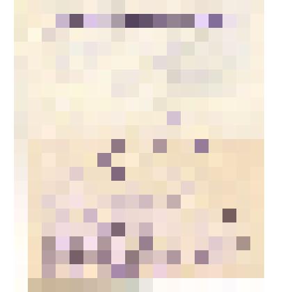 Письмо. В.И. Дерману от школьников с. Любница