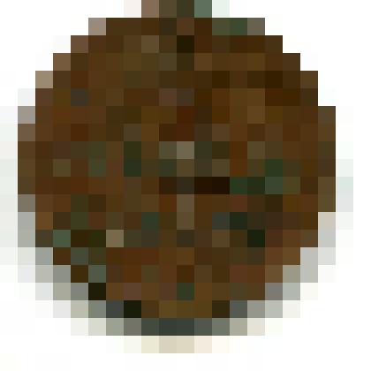 Монета металлическая достоинством 1 копейка, 1853 год