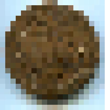 Монета 5 копеек