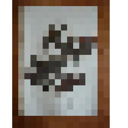 Гербарий. Мимоза