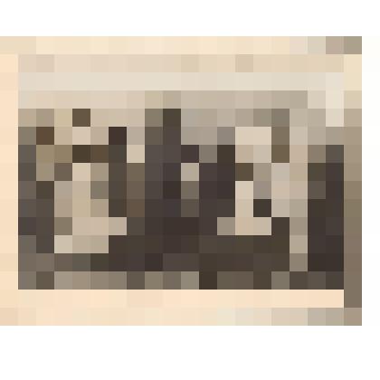 Фотография. Семья Ребриных