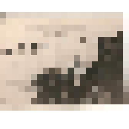 Фотография. На спорт празднике 36 ЗСД. Старт пробега на дистанции лыжников