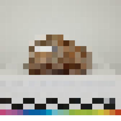 Известняк ортоцератитовый