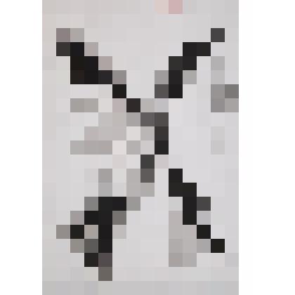 Рисунок «Ворона»