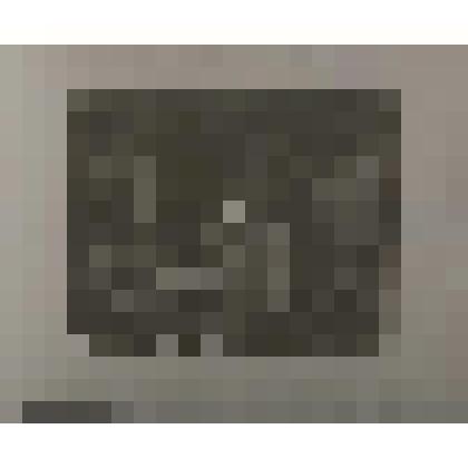 Литография. Портрет бабушки