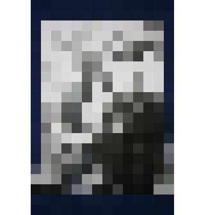 Фото. Манник М.Д. в момент вручения очередной награды