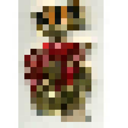 Нагрудный знак "18 Гвардейский стрелковый корпус"  Тулуновского Станислава Андреевича