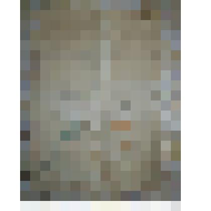 Земельный план на владение церковной землёй 
Затаеховской Слободы 1882 г