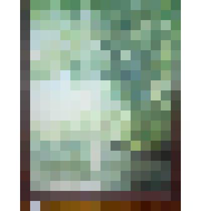 Картина "Летний день" (Тинь-Зинь). 1997