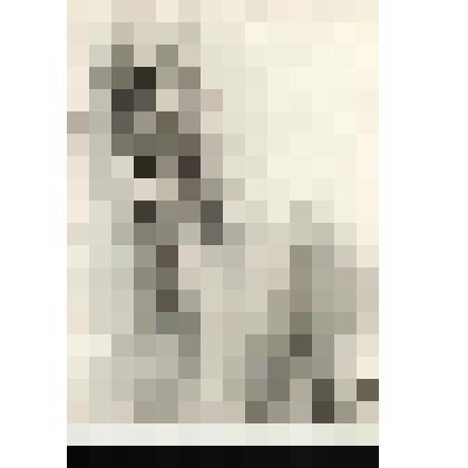 Картина. Лик (Из серии "Хоралы")