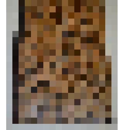 Книга. Петр Великий на Севере