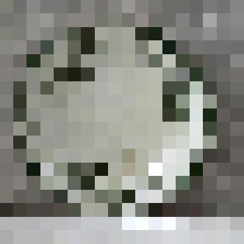 Тарелка мелкая