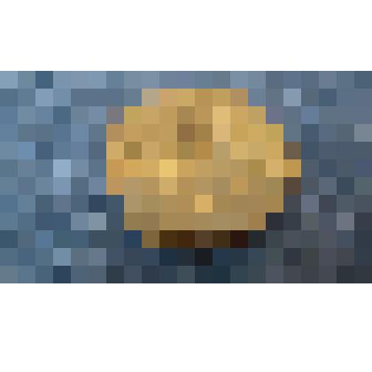 Фрагмент оружия