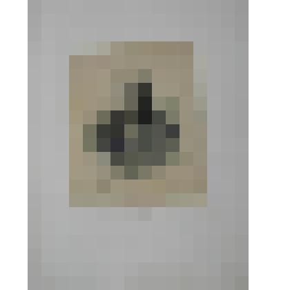 Портрет. Грановский Тимофей Николаевич