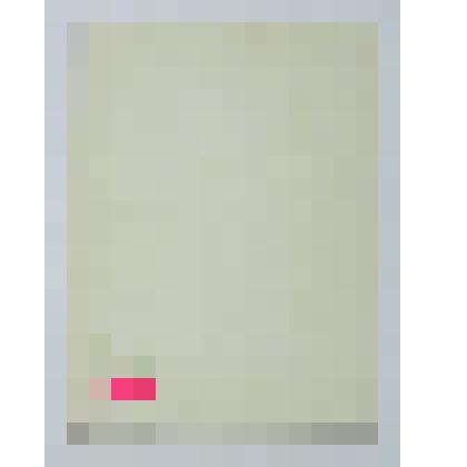 Диплом  Александрова И.Ф