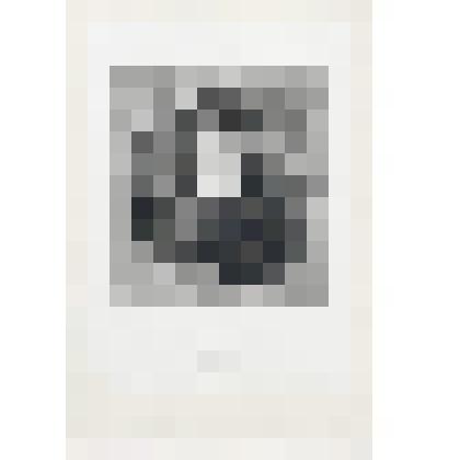 Портрет В.А. Жуковского